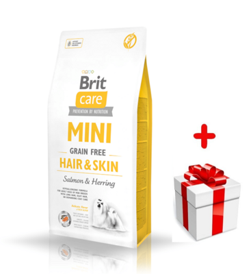 BRIT CARE Mini Grain-Free Hair&Skin 2kg + Surprise pour votre chien GRATUITES !