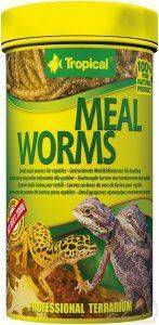 Tropical Meal Worms 100ml x2