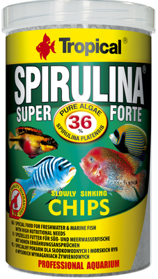 Tropical Super Spirulina Forte Chips 250ml x2